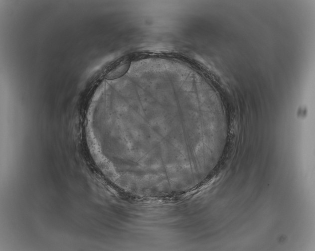 X0000096671398200802261441