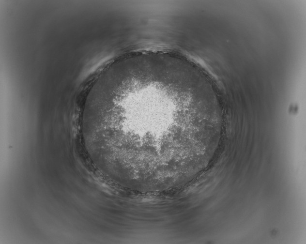 X0000096671399200802261441