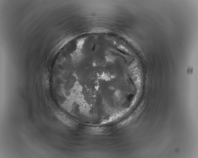 X0000096671401200802261441