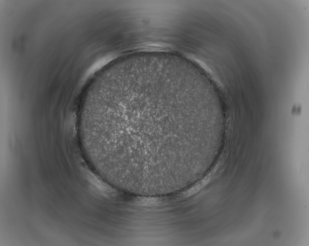 X0000096671402200802261441