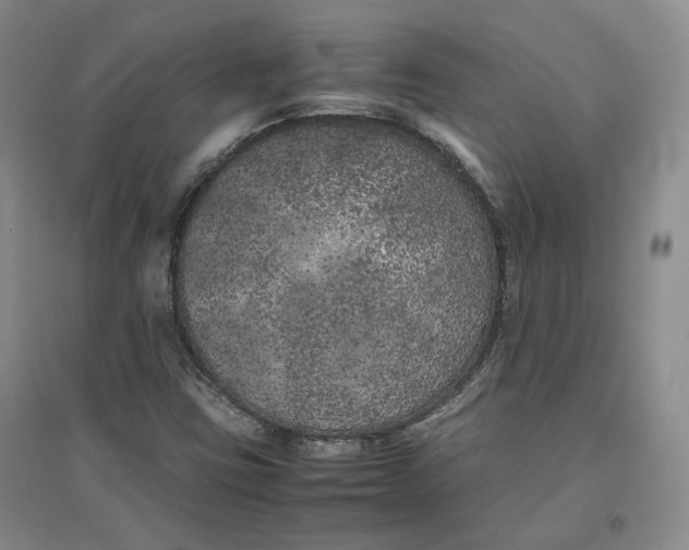 X0000096671403200802261441