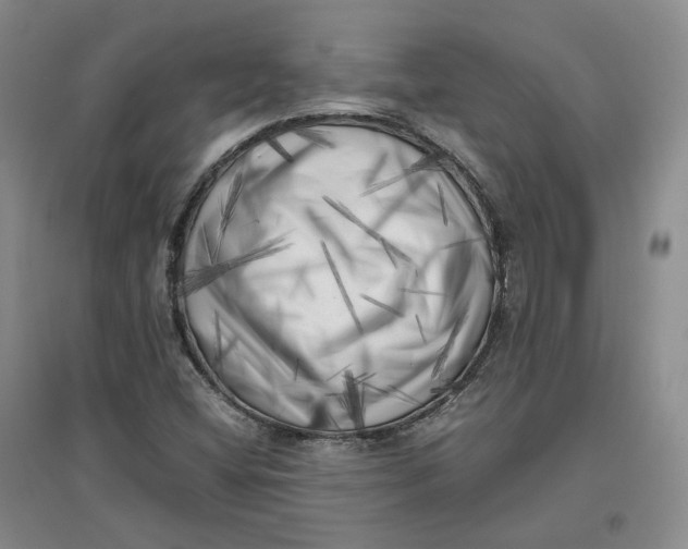 X0000096671404200802261441