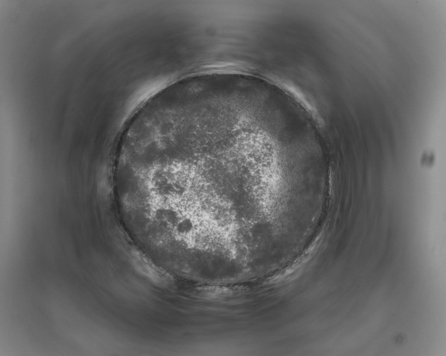 X0000096671405200802261441