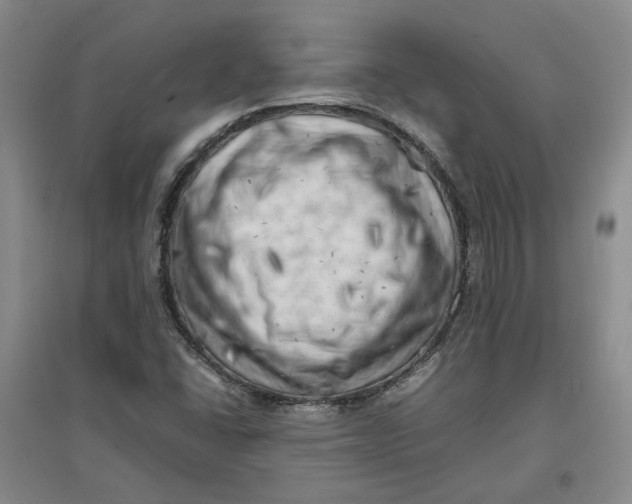 X0000096671406200802261441