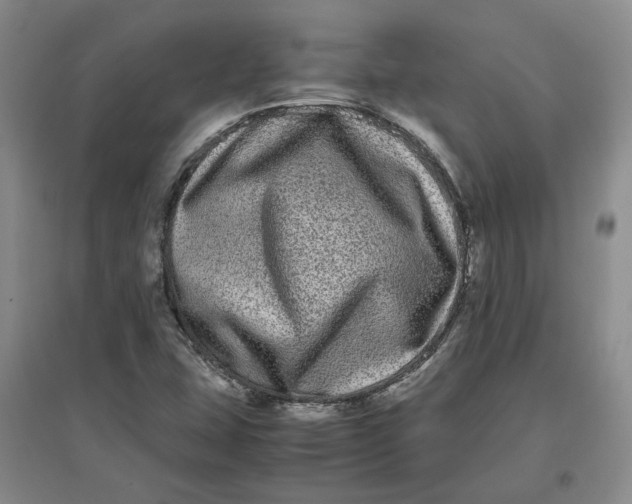 X0000096671407200802261441