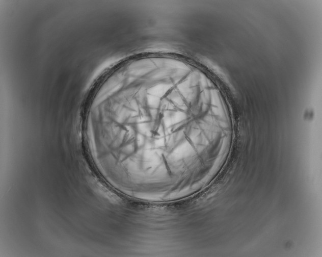 X0000096671408200802261441