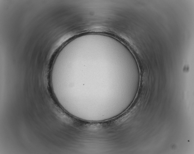 X0000096671410200802261441