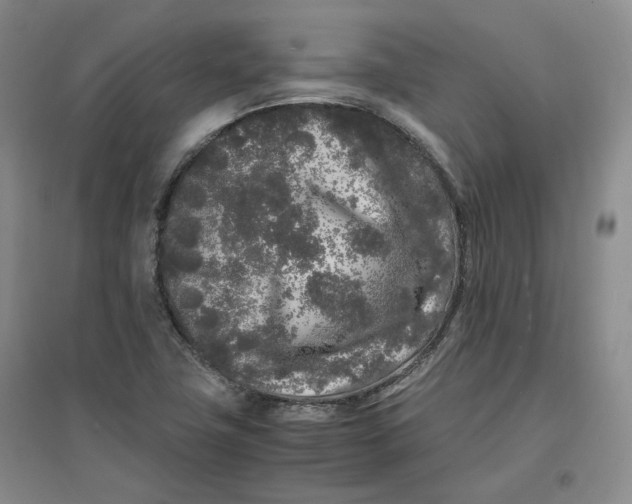 X0000096671411200802261441