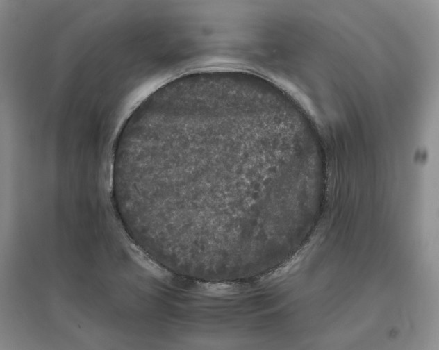 X0000096671413200802261441