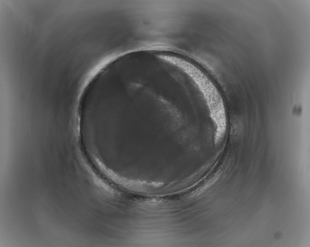 X0000096671414200802261441