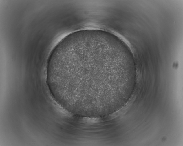 X0000096671415200802261441