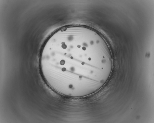 X0000096671416200802261441