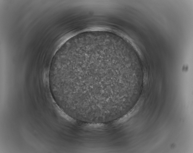 X0000096671417200802261441