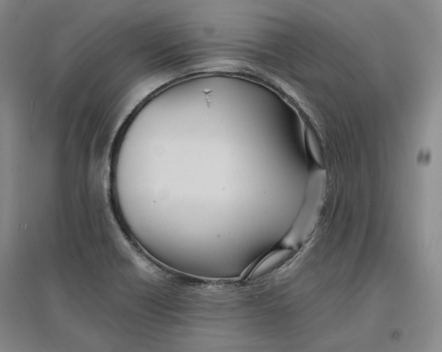 X0000096671418200802261441