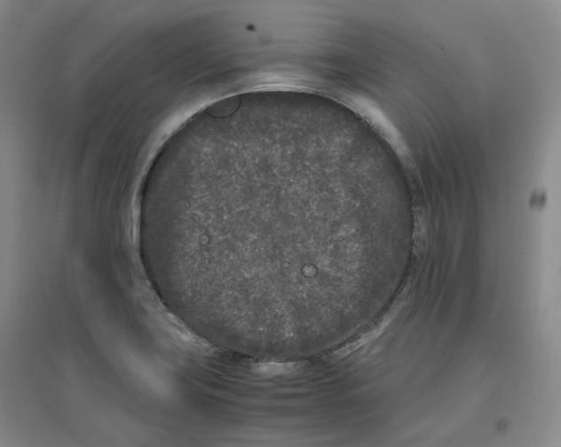 X0000096671419200802261441