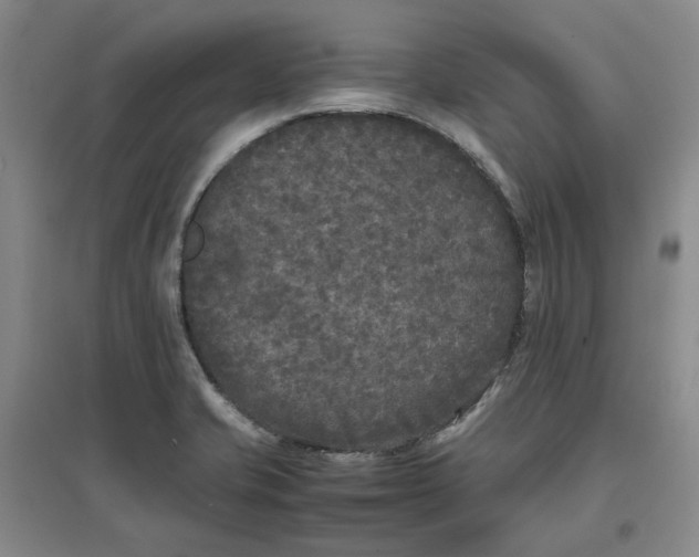 X0000096671421200802261441