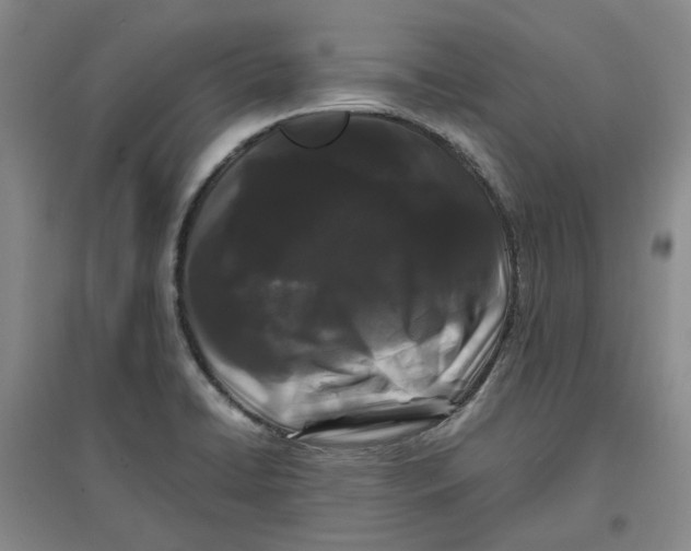 X0000096671422200802261441