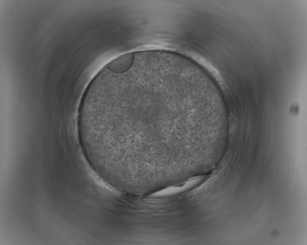 X0000096671423200802261441