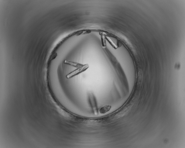 X0000096671424200802261441