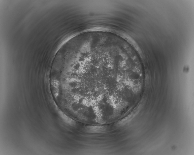 X0000096671425200802261441