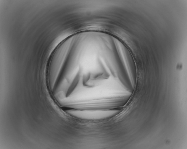 X0000096671426200802261441