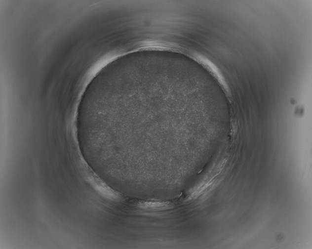 X0000096671427200802261441