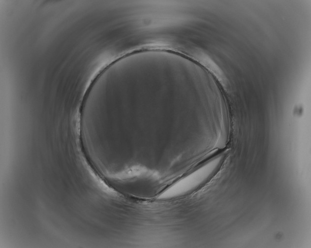 X0000096671428200802261441