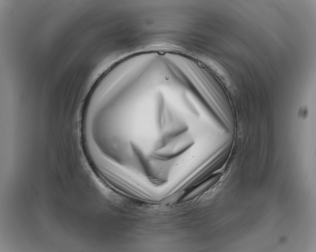 X0000096671430200802261441