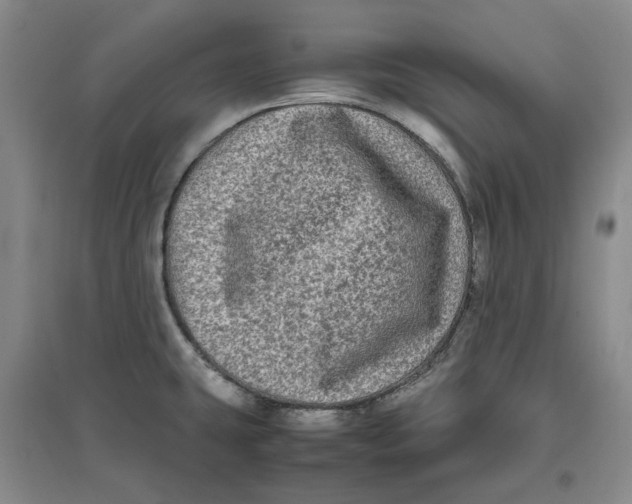 X0000096671431200802261441