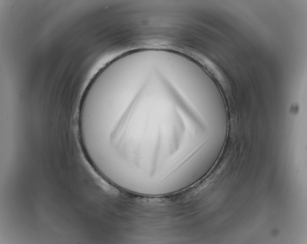 X0000096671432200802261441