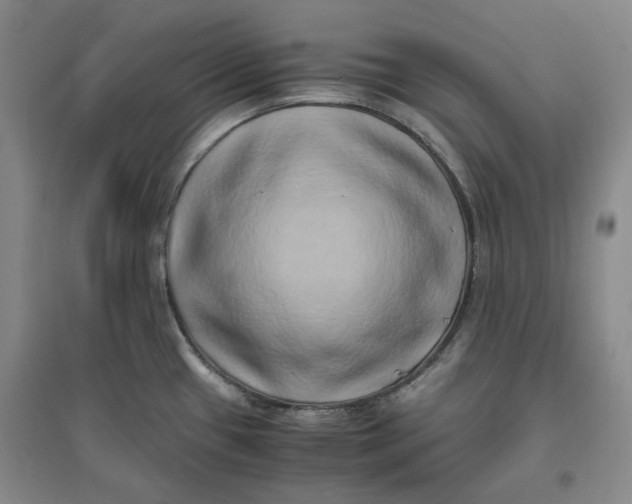 X0000096671433200802261441