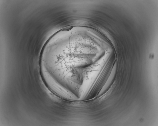 X0000096671434200802261441