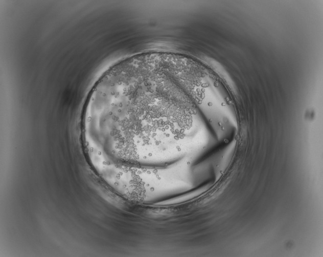 X0000096671435200802261441