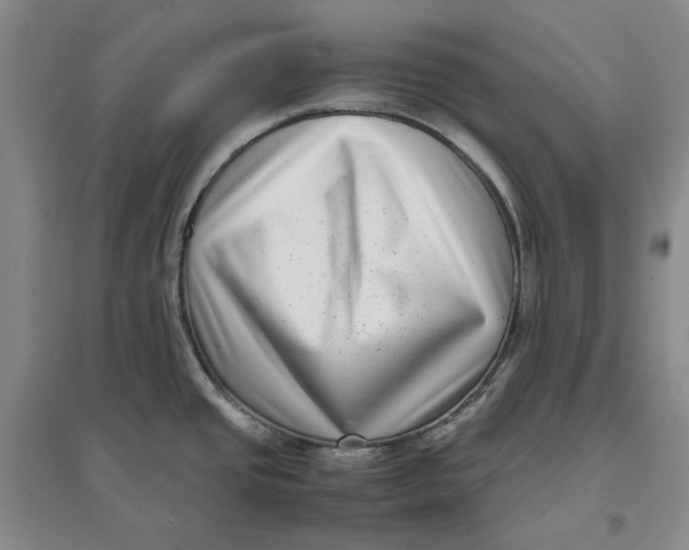 X0000096671437200802261441