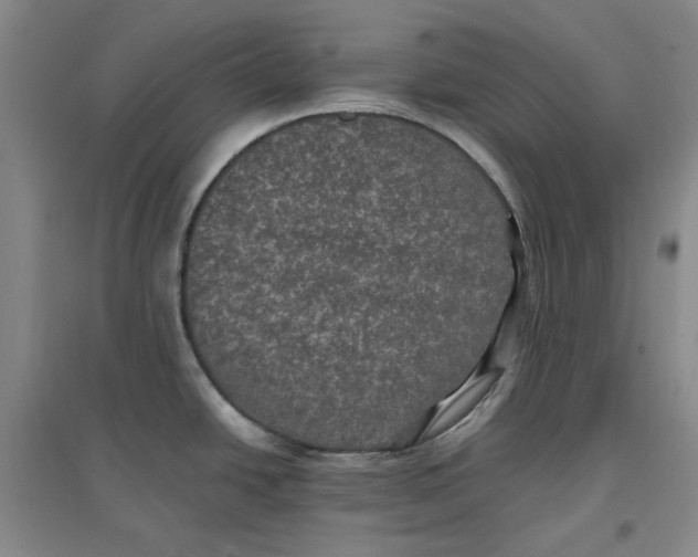 X0000096671438200802261441