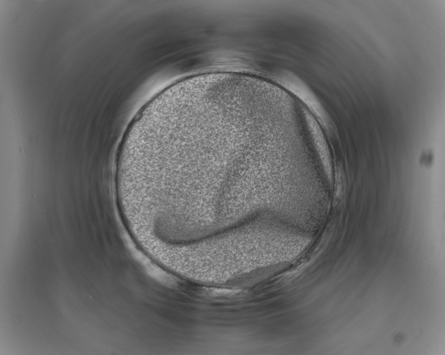 X0000096671439200802261441