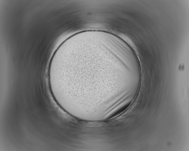 X0000096671440200802261441