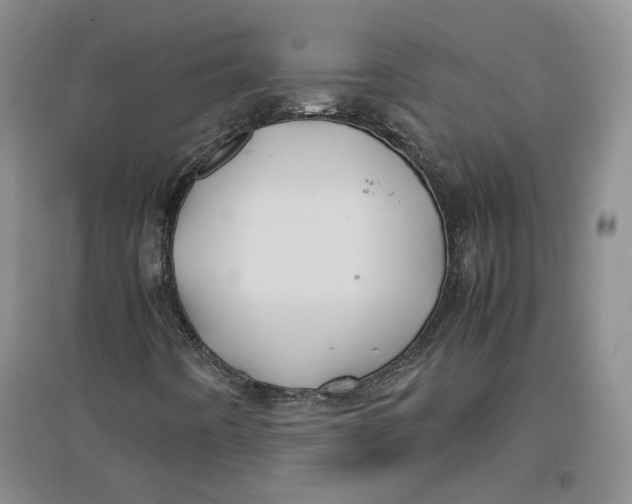 X0000096671442200802261441