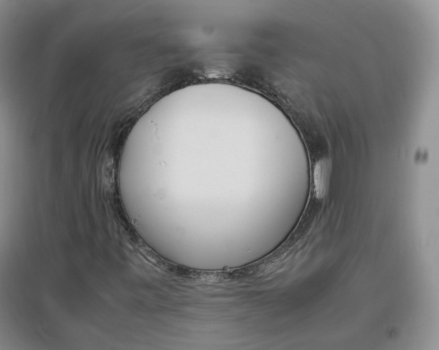 X0000096671443200802261441