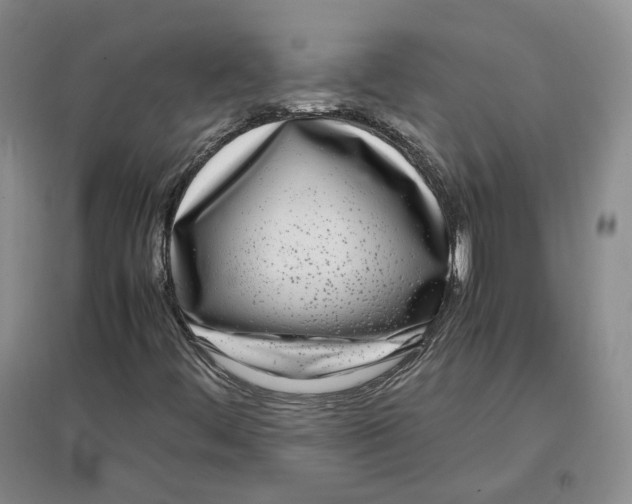 X0000096671444200802261441