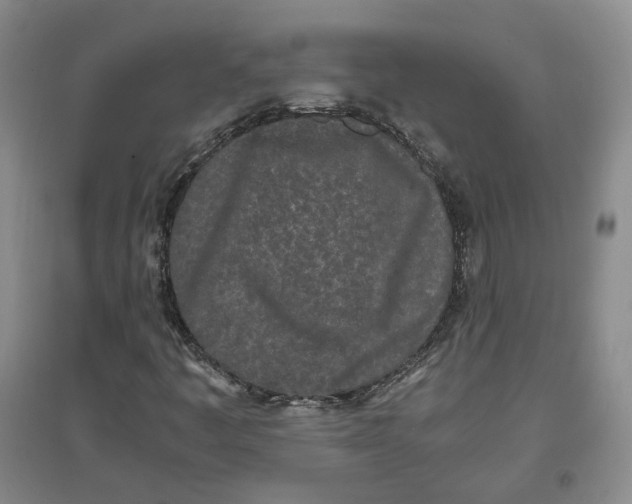 X0000096671445200802261441