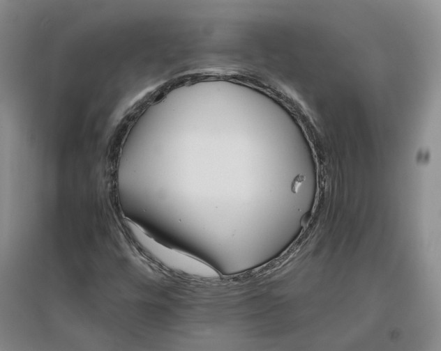 X0000096671448200802261441