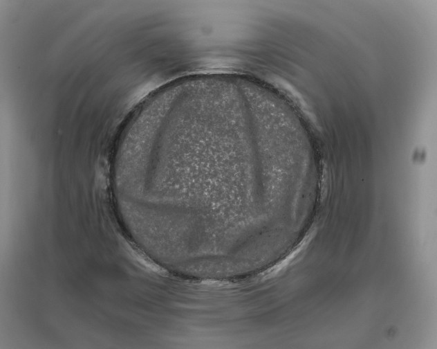 X0000096671449200802261441