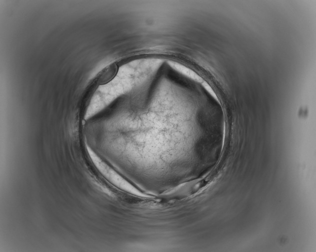 X0000096671450200802261441