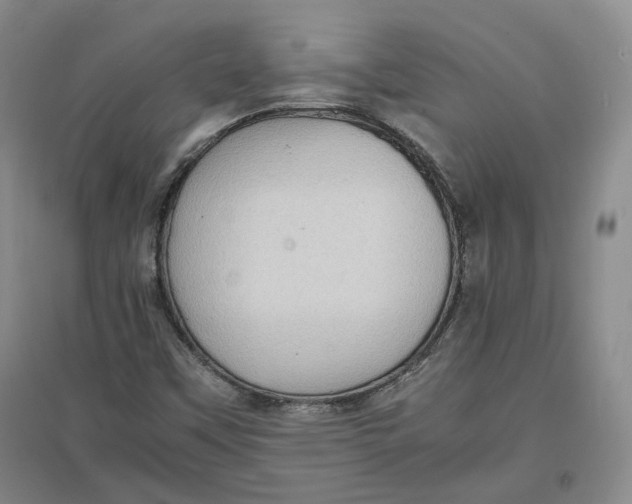 X0000096671451200802261441