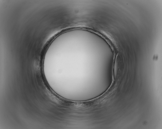 X0000096671452200802261441