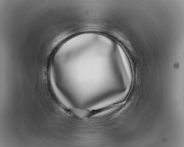 X0000096671453200802261441