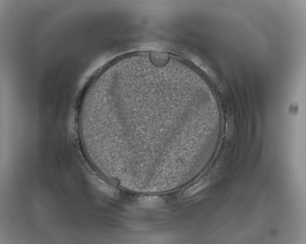 X0000096671454200802261440