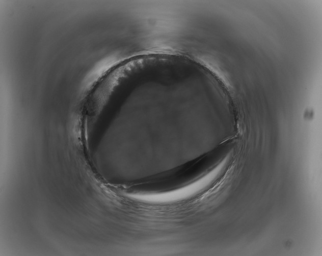 X0000096671455200802261440