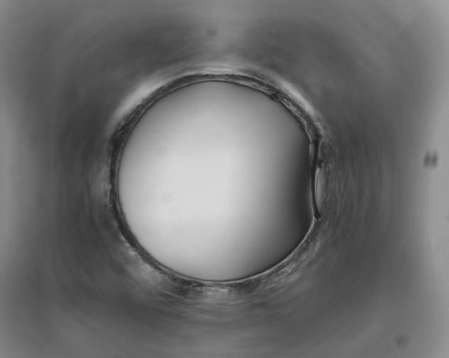 X0000096671456200802261440